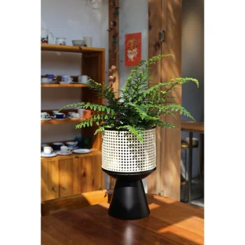 Japonský Minimalistický Tepaného Železa Indoor Flower Stand Imitace Ratanu Moderní Obývací Pokoj Soupravy Mobilní Design Stolní Květináč