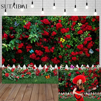 Červené Růže Zahradní Valentýna Fotografie, Pozadí Jarní Zelené Listy, Tráva, Plot Svatební Pozadí Dekor Svatební Sprcha