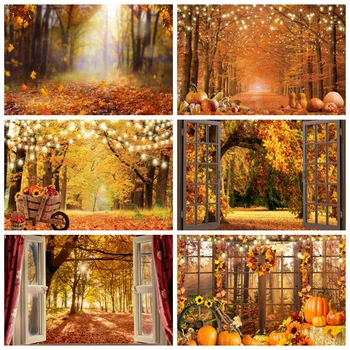 Podzim Pozadí pro Fotografování Podzimního Lesa Okna Spadané Listí, Dýně Přírodní Scenérie Krajina Fotografie, Pozadí, Banner