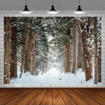 Lesní Fotografie, Pozadí Zimní Téma Sníh Příroda Krajina Sněhem Pokryté Silnici Pozadí Pro Fotografie Rekvizity Dovolenou Dodávky