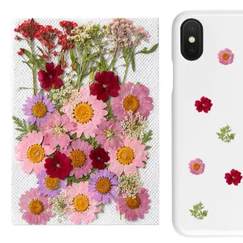 35Pcs/box 3D Sušené Květiny Nail Art Dekorace Skutečné Sušené Květinové Samolepky DIY Manikúra Design Pro Nehty Příslušenství